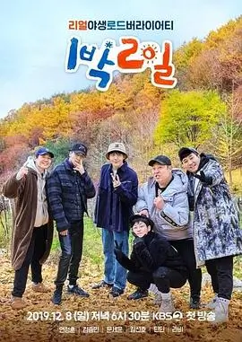 声生不息综艺封面